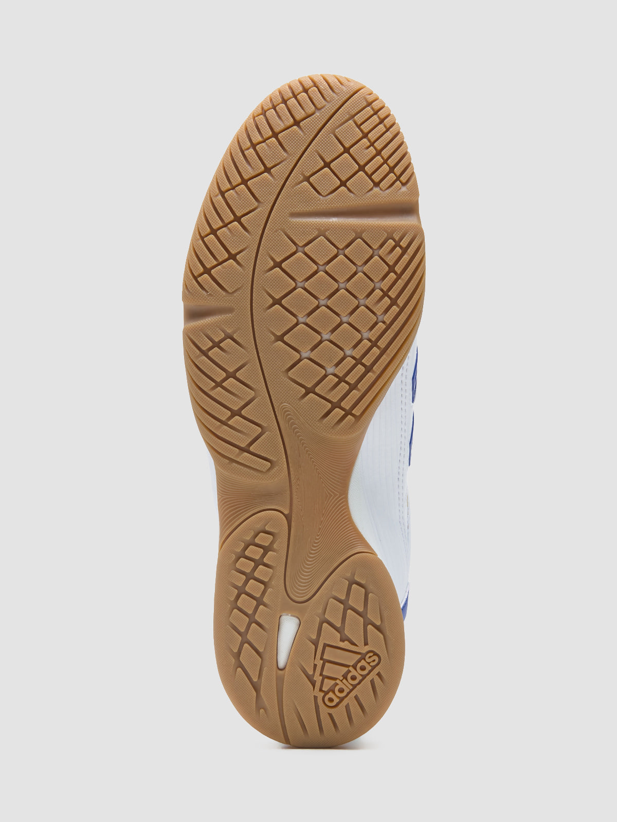 Predator Sala Sneaker in Cloud White & Royal Blue