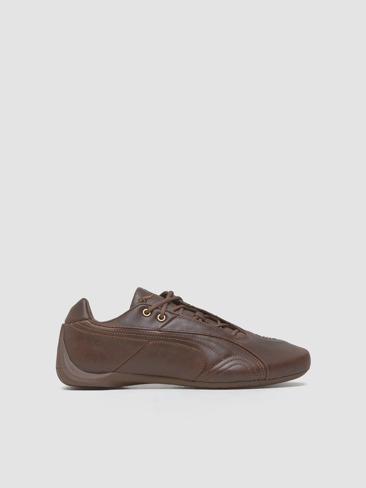 Future Cat Studs Sneaker in Espresso Brown & Gold
