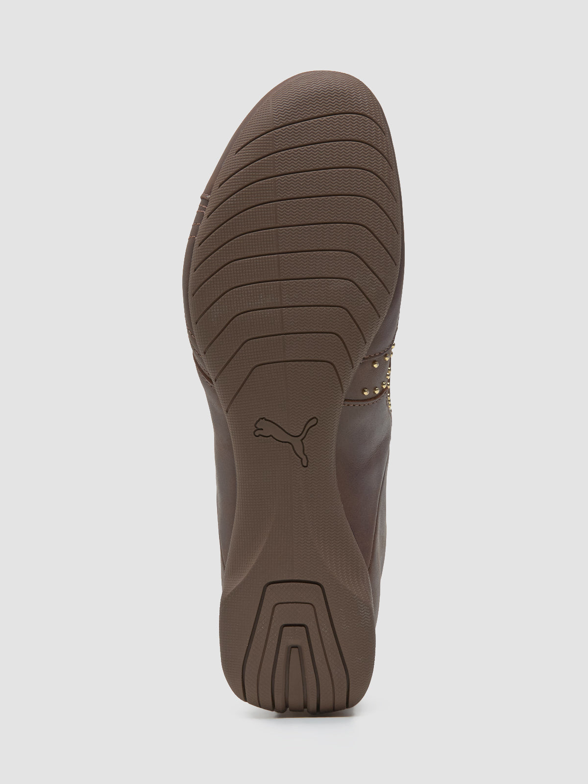 Future Cat Studs Sneaker in Espresso Brown & Gold